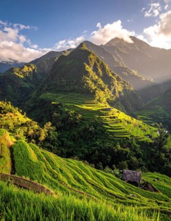 Early morning light bathes Philippines rice terraces cascading down mountain slopes, beautiful