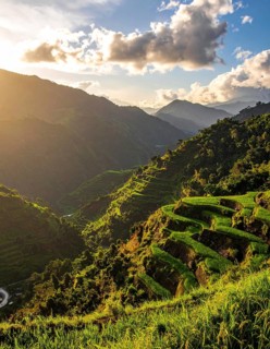 Early morning light bathes Philippines rice terraces cascading down mountain slopes, beautiful