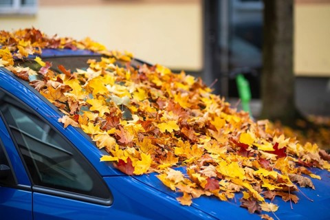 A car is covered with a thick layer of autumn leaves in autumn, Wuppertal, Germany