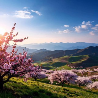 Landscape with a blooming apricot tree, idilyc spring nature, green grass and mountains in