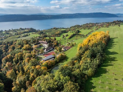 Aerial view of Lake Constance, Überlinger See, surrounded by autumn vegetation with Spetzgart