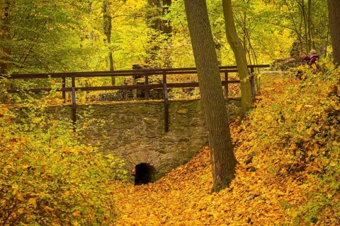 Altzella Abbey is a former Cistercian abbey west of the town of Nossen. In the Middle Ages, it was