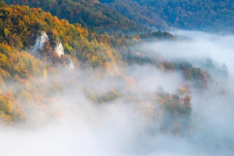 View from the Knopfmacherfelsen into the Danube valley, limestone rock, rock face, mixed forest,