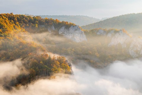 View from the Knopfmacherfels into the Danube valley, limestone rock, rock face, mixed forest,