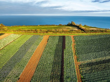 Fields and Farms at evening sun from a drone, Shaldon, Torquay, Devon, England, United Kingdom
