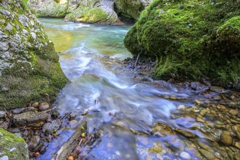 Erlauf Gorge, Purgstall an der Erlauf, Lower Austria, Austria
