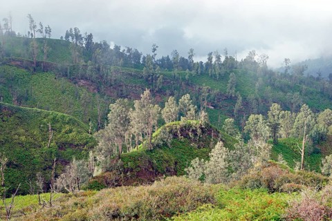 Landscape volcano Ijen, Indonesia