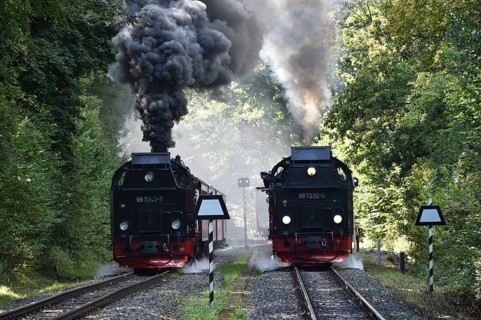 Steam locomotive, steam locomotives double exit on the Harz Narrow Gauge Railway, HSB, in the Harz