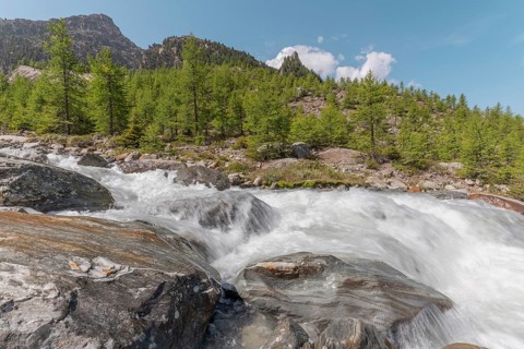 A rushing river cascades over smooth stones, surrounded by lush green trees and majestic mountains.