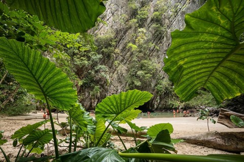 Sandy beach beach with cave in the rainforest, Emerald Cave, Koh Mook, Trang Province, Southern