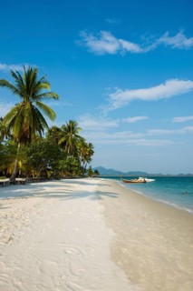 White sandy beach and coconut palms, Pearl Beach, Koh Mook, Trang Province, Southern Thailand,