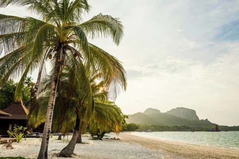 White sandy beach and coconut palms, sunset, Pearl Beach, Koh Mook, Trang Province, Southern