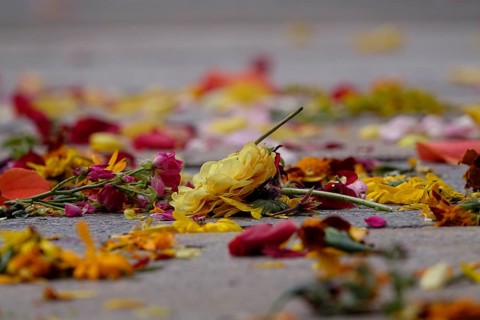 After a wedding, scattered flowers, summer, Germany