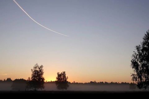 Heath landscape with morning fog, August, Germany