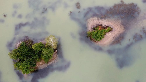 Aerial view, islands in the Drau, river, Carinthia, Austria