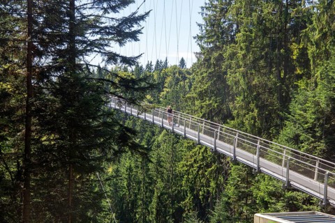 Wildline Bad Wildbad: The pedestrian suspension bridge is 380 metres long and 60 metres high. It