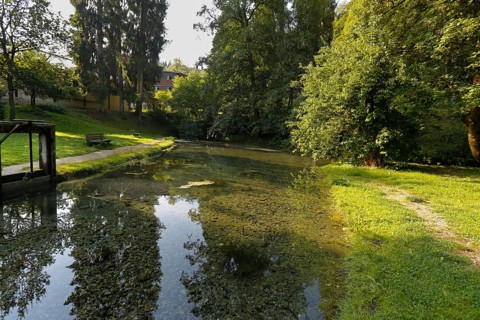 Lauter spring, Große Lauter, karst spring, body of water, park, idyll, meadow, lawn, trees,