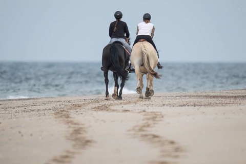 Two riders on the beach, near Hvide Sande, North Sea, Denmark