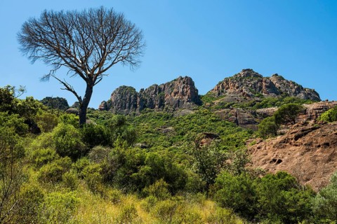 Rocher du roquebrune, Roquebrune-sur-Argens, near Saint-Raphaël, Massif de l'Esterel, Esterel