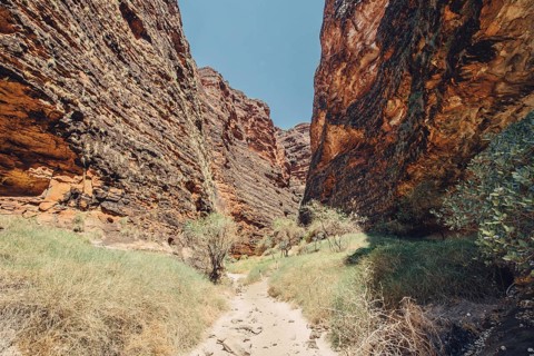 Bungle Bungles in Australia in the Outback, Australia
