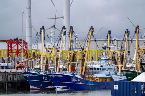 Fishing boats in Beatrixhaven, the seaport of Eemshaven, industrial harbour, at the quay,