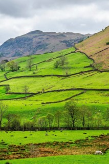 Farms in Lake District National Park, Cumbria, England, United Kingdom