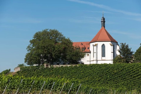 Monastery church Mariä Schutz an der Vogelsburg, vineyards, near Volkach, Mainfranken,