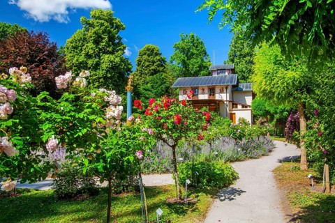 Rosarium with blooming roses in front of the Pompeian-Bavarian Casino on the Rose Island in Lake