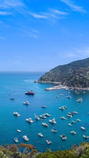 USA, California, panoramic view of Catalina Island Bay and Avalon. Chimes Lookout. Travel