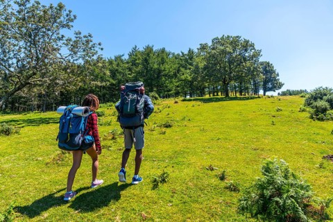 Two hikers walking up a green hill on a sunny day, enjoying the outdoors and carrying backpacks