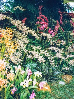 People attending flower show at the Singapore Turf Club, The 4th World Orchid Conference,