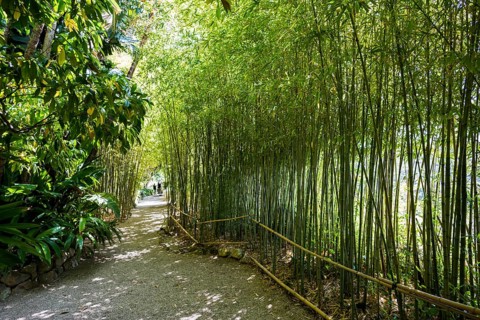 Park, Villa Ephrussi de Rothschild, Saint-Jean-Cap-Ferrat, Cap Ferrat, Alpes Maritimes, Provence