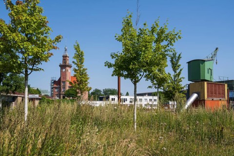 Historic crane and old harbour office, harbour, Dortmund, Ruhr area, North Rhine-Westphalia,