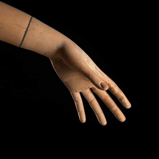 A detailed view of a mannequin hand with fingers slightly curled, creating a graceful pose against