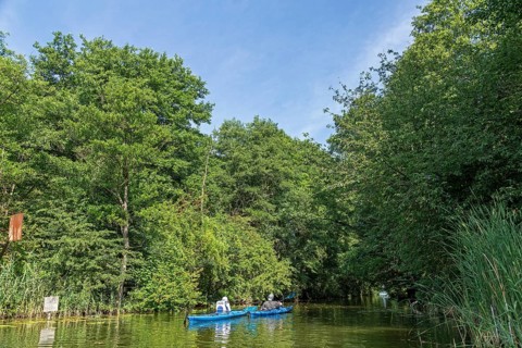 Canal between Leppinsee and Woterfitzsee, canoes, trees, Müritz National Park, Mecklenburg Lake