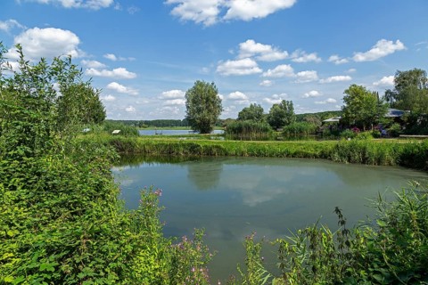 Fish ponds, Fischers Land Boek, Mecklenburg Lake District, Mecklenburg-Western Pomerania, Germany