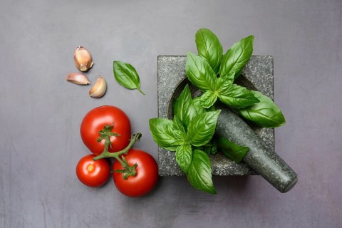 Basil in mortar and tomato, Ocimum basilicum, Solanum lycopersicum