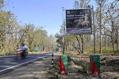 Shield Wildlife Crossing, Corbett National Park, near Ramnagar, Uttarakhand State, India