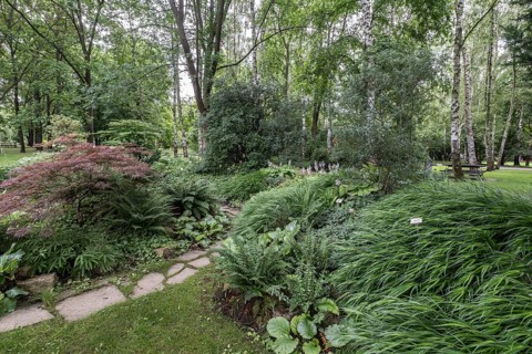 Karl Förster Garden, Gardens of the World, Berlin, Germany