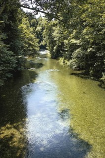 Mangfall near Bruckmühl, district of Miesbach, Upper Bavaria, Bavaria, Germany