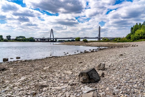 Low water level of the Rhine at Leverkusen, new Rhine bridge on the A1 motorway, extremely low