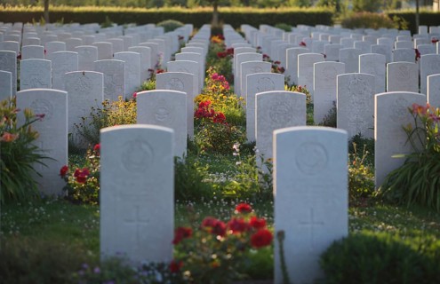 Gravestones, war graves, soldiers' graves, flowers, roses, British and German military cemetery,