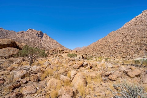 Tsisab Gorge, White Lady Trail, desert landscape with mountains, Brandberg, Erongo, Damaraland,