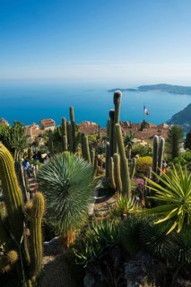 Picturesque mountain village overlooking the sea, Jardin Exotique, Èze, Cote d'Azur,