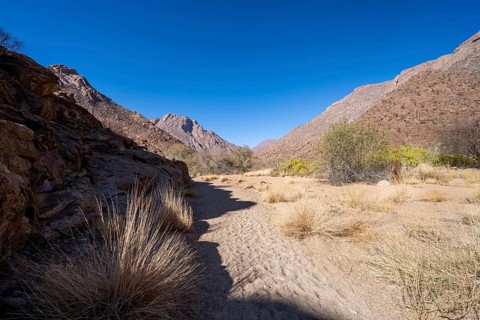 Tsisab Gorge, White Lady Trail, desert landscape, Brandberg, Erongo, Damaraland, Namibia