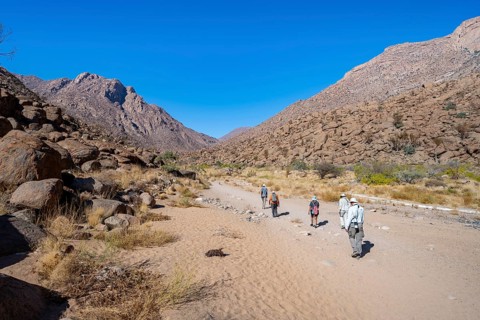 Tourists on a hiking trail in the Tsisab Gorge, White Lady Trail, desert landscape, Brandberg,