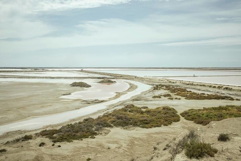 Salin-de-Giraud, Arles, France