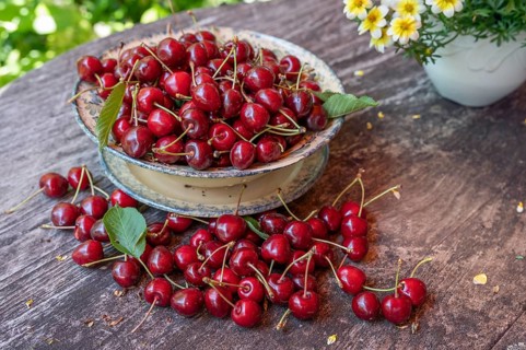 Fresh sweet cherries (Prunus avium) in a bowl, Bavaria, Germany