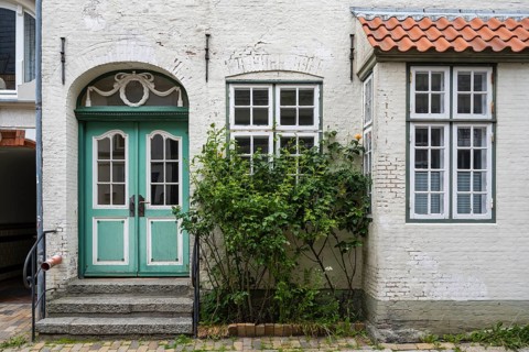 Roses in front of an old house, lattice window, Old Town, Husum, North Frisia, Schleswig-Holstein,