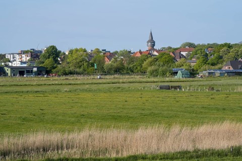 Meadows and fields, water tower, Dockkoog, Husum, North Frisia, Schleswig-Holstein, Germany